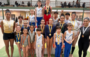 Résultats Championnat Départemental Individuel GAM/GAF - Paris 14e