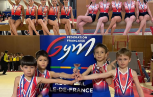 Résultats Championnat Interdépartemental Equipe GAF Fédérale A et TR1-2 et Equipe-Indivs GAM Performance Régionale - Puteaux/Vélizy et Sucy-en-Brie