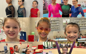 Résultats Championnat Régional Individuel GAF Performance (28/29 Mars 2026)