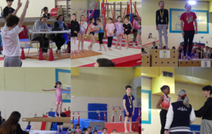 Compétition Interne Loisirs - Dimanche 29 Mars 2026 au Gymnase Falguière