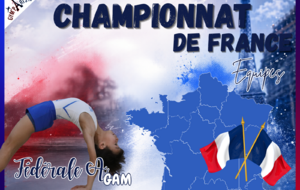 Championnat de France Equipe GAM Fédérale A - ?