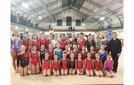 CHAMPIONNAT DEPARTEMENTAL INDIVIDUELLES GAF
