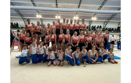 PLUIE DE MEDAILLES POUR LES EQUIPES DE GYM’PARIS 15 LORS DU CHAMPIONNAT DEPARTEMENTAL